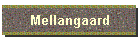 Mellangaard