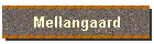 Mellangaard