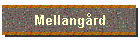 Mellangrd