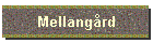 Mellangrd